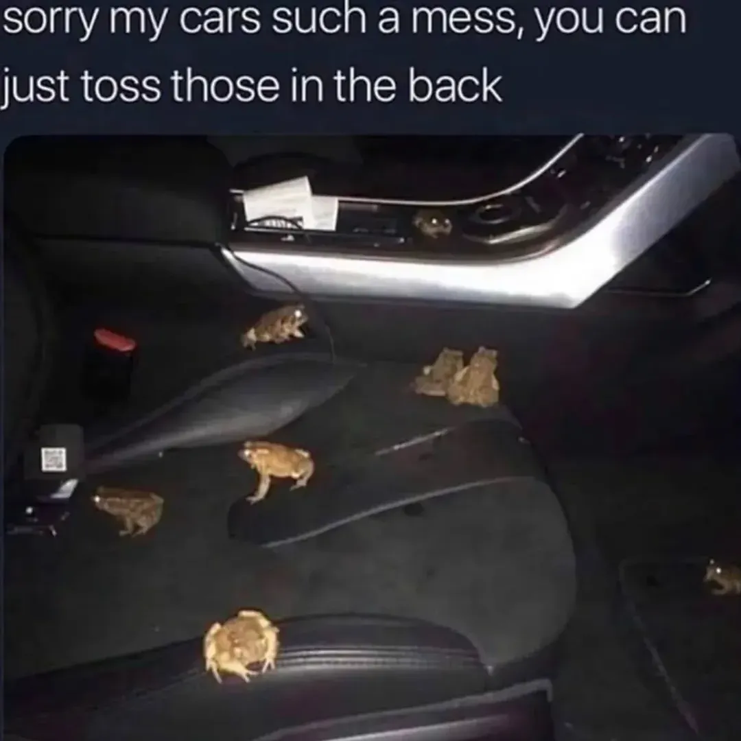 Car Frögs
"Don't always focus on the basic meaning of something, try to look deeper"

(All quotes are original)

-
-
-
-

#frog #frogpics #frogmeme #frogsofinstagram #frogs