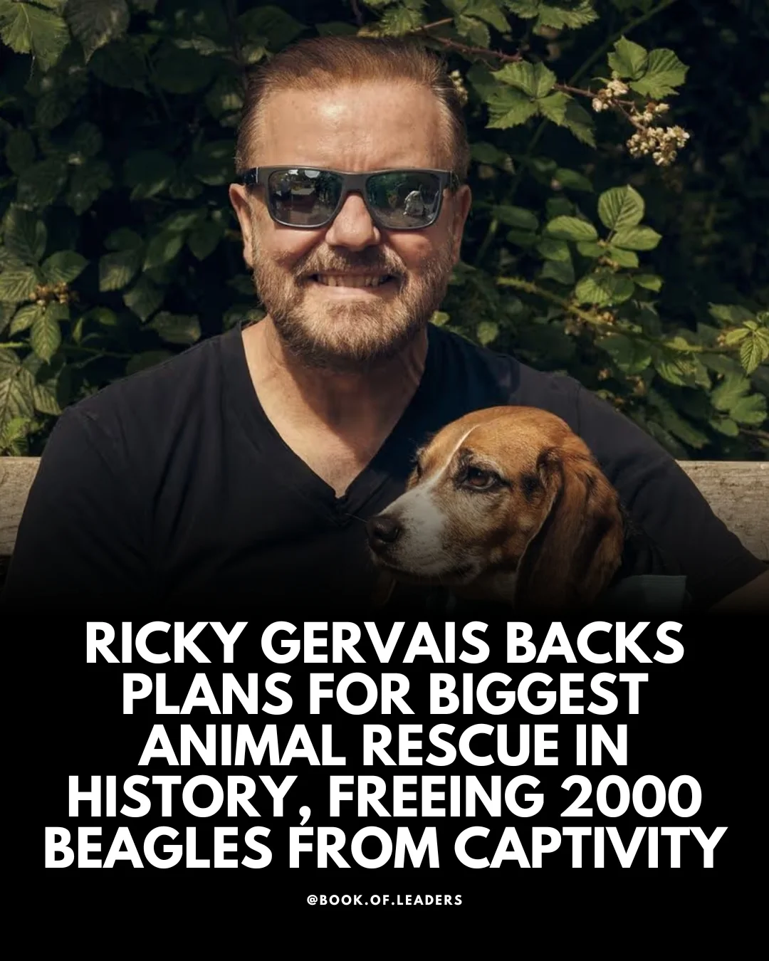 Ricky Gervais has publicly backed a large-scale effort to rescue up to 2,000 beagles from a U.S. breeding facility tied to laboratory testing. The planned “open rescue,” centered on Ridglan Farms in Wisconsin, is being organized by animal rights activists who argue the dogs are kept in confined conditions with limited exposure to the outside world. ￼

The campaign has drawn significant attention as one of the largest proposed animal rescue actions of its kind, with thousands of supporters expected to gather. Activists say the goal is to remove the dogs and place them in homes, while the facility maintains it operates within legal standards and is scheduled to shut down by mid-2026. The situation has heightened tensions between organizers and authorities, with previous attempts leading to arrests and increased police presence at the site.  #wholesome #dogsofinstagram