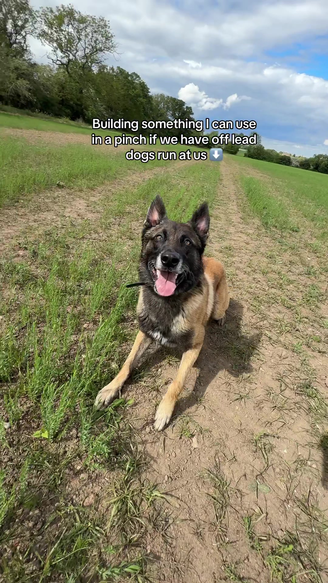 Situation dependant

I might choose to put all mine into a down and go and deal with the other dog

Or I might do something else

I like to have options and go train them before the situation occurs 

#dogtraining #dogtrainingadvice #workingdogsofinstagram