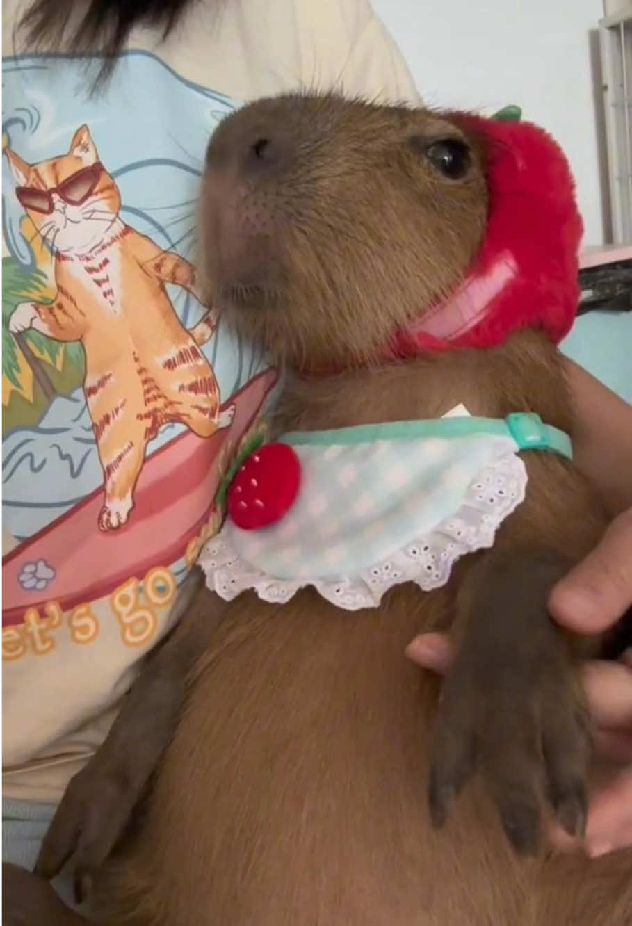This tiny buddy hits so different!😍😍#capybara #cute #kawaii #capybaratiktok #capybaralove